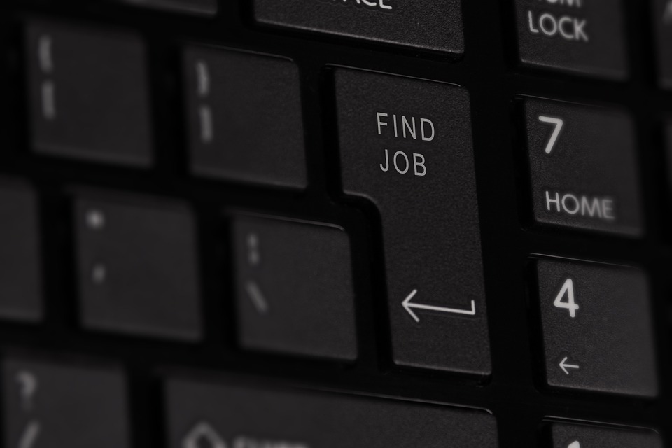Job Search: Focus, Find & Get the Job